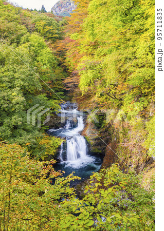 紅葉の風景　秋の鳳鳴四十八滝　宮城県仙台市 95711835