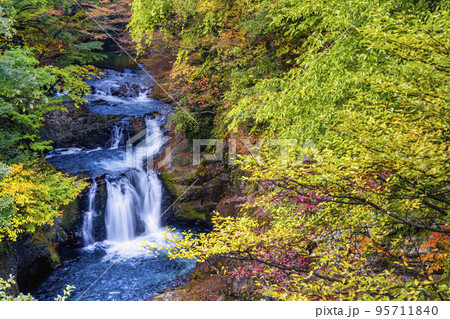 紅葉の風景 秋の鳳鳴四十八滝 宮城県仙台市 紅葉の風景 秋の鳳鳴四十八滝 宮城県仙台市 95711840