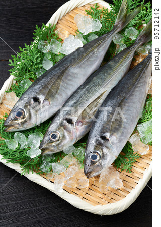 ザルに盛った鯵 95712142