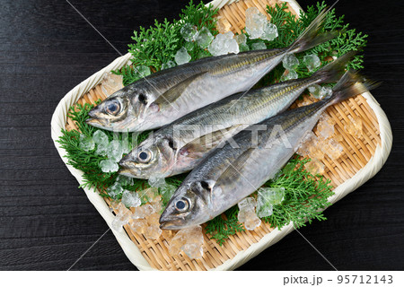 ザルに盛った鯵 95712143
