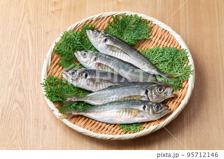 ザルに盛った鯵 95712146