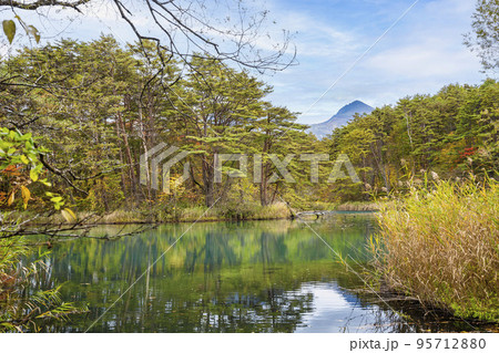 秋の五色沼自然探勝路　毘沙門沼　福島県北塩原村 95712880
