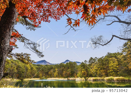 秋の五色沼自然探勝路 るり沼と磐梯山 福島県北塩原村 秋の五色沼自然探勝路 るり沼と磐梯山 福島県北塩原村 95713042