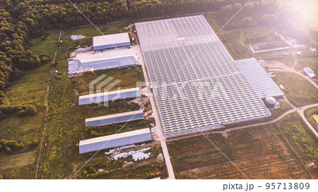 modern greenhouse complex from a height 95713809