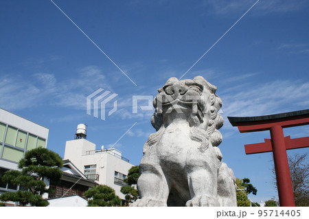 早朝の段葛を訪れて 95714405