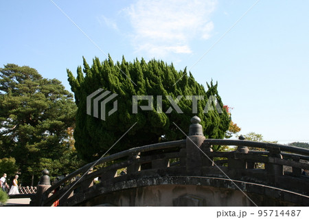 鎌倉鶴岡八幡宮を訪れて 鎌倉鶴岡八幡宮を訪れて 95714487
