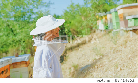 Profile of a female beekeeper in a field 95714653