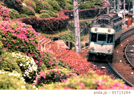 鉄道　私鉄　JR　列車　京阪　京津線　蹴上　京都　つつじ　花　夏 95715264