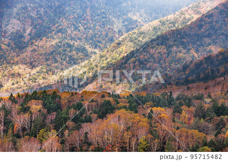 日光白根山から見える紅葉した山の風景 95715482