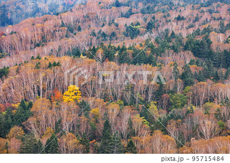 日光白根山から見える紅葉した山の風景 日光白根山から見える紅葉した山の風景 95715484
