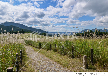 【奈良・曽爾村】曽爾高原、ススキと青空 【奈良・曽爾村】曽爾高原、ススキと青空 95715693