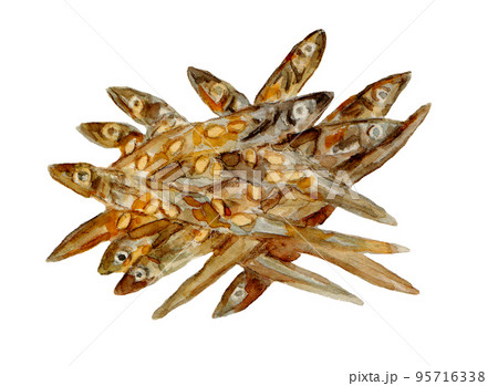 手描き水彩の田作りイラスト 95716338