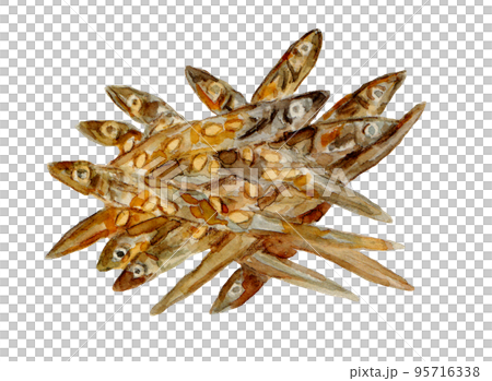 手描き水彩の田作りイラスト 95716338