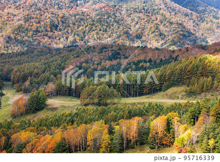 日光白根山から見える紅葉した山の風景 日光白根山から見える紅葉した山の風景 95716339