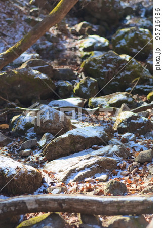 御岳山のロックガーデン(雪の積もった岩場) 御岳山のロックガーデン(雪の積もった岩場) 95716436