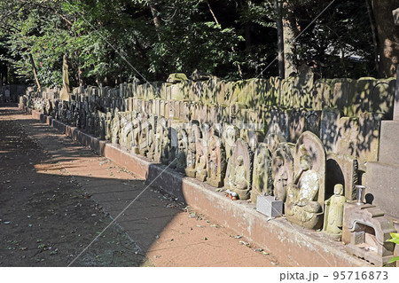 三宝寺(練馬) 三宝寺(練馬) 95716873