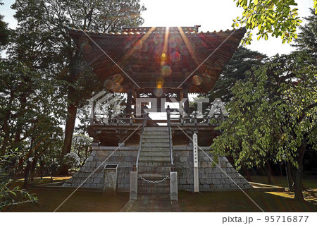 三宝寺（練馬） 95716877