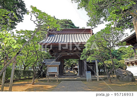 三宝寺(練馬) 三宝寺(練馬) 95716933