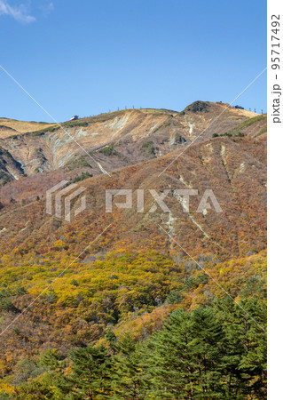 秋の八方尾根　長野県白馬村 95717492