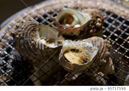 美味しいサザエの壺焼き 七輪 炭焼き 美味しいサザエの壺焼き 七輪 炭焼き 95717598