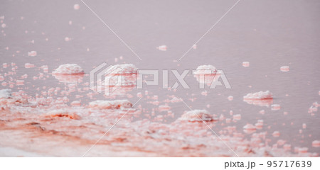 Pink salt crystals. Natural pink salt lake texture. Salt mining. Extremely salty pink lake, colored by microalgae with crystalline salt depositions 95717639