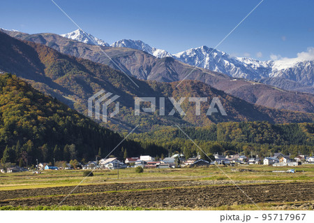 美しい白馬三山との三段紅葉 長野県白馬村 美しい白馬三山との三段紅葉 長野県白馬村 95717967