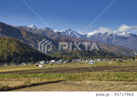 美しい白馬三山との三段紅葉　長野県白馬村 95717968
