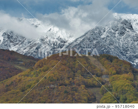美しい三段紅葉　長野県白馬村（ドローンによる空撮） 95718040
