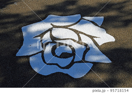 アスファルトの描かれたバラのマーク アスファルトの描かれたバラのマーク 95718154