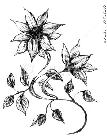 墨で描いた花のデザイン 95718165