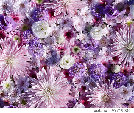 足利市　あしかがフラワーパークの花手水 95719086