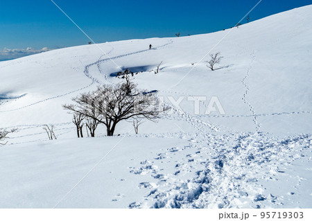 快晴の下、霊仙山の雪原を進む登山者 95719303