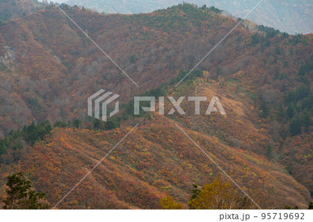 三方岩岳の紅葉 岐阜県 三方岩岳の紅葉 岐阜県 95719692