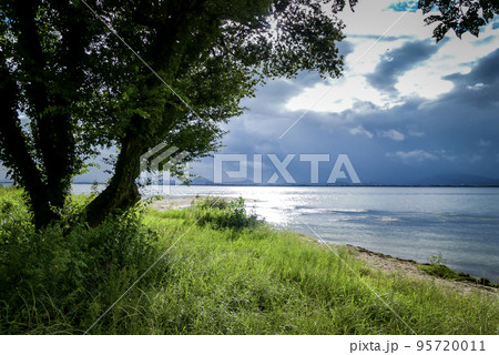 琵琶湖畔の公園の風景 琵琶湖畔の公園の風景 95720011