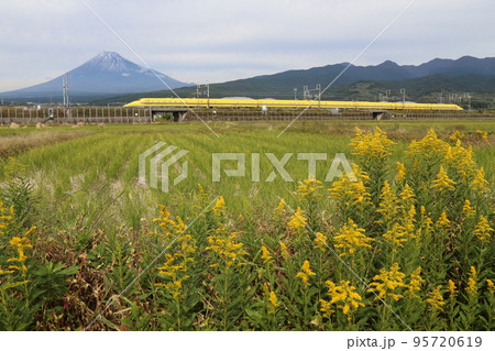 ドクターイエローと富士山 ドクターイエローと富士山 95720619