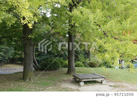 秋の公園 秋の公園 95721050