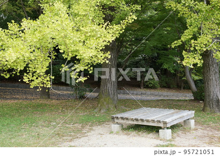 秋の公園 95721051