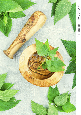 Fresh nettle leaves,herbal medicine. Fresh nettle leaves,herbal medicine. 95721271