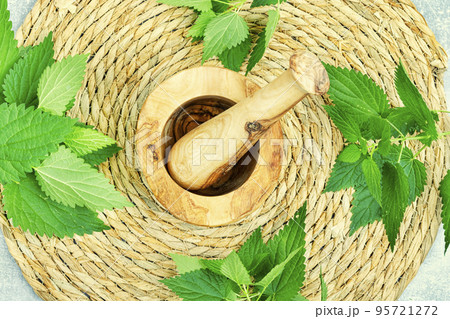 Fresh nettle leaves,herbal medicine and homeopathy Fresh nettle leaves,herbal medicine and homeopathy 95721272
