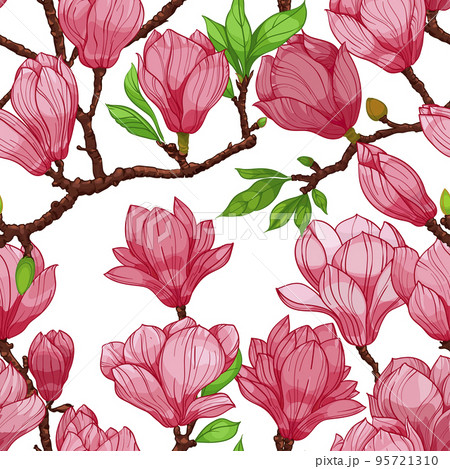 pink blossom magnolia flowers, seamless pattern. hand drawn illustration pink blossom magnolia flowers, seamless pattern. hand drawn illustration 95721310