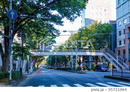 原宿表参道 秋のケヤキ並木(東京都渋谷区) 原宿表参道 秋のケヤキ並木(東京都渋谷区) 95721864