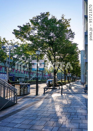 原宿表参道 秋のケヤキ並木(東京都渋谷区) 原宿表参道 秋のケヤキ並木(東京都渋谷区) 95721870