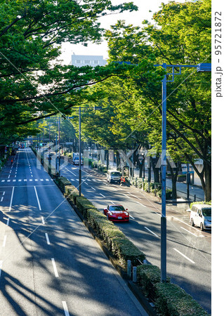 原宿表参道 秋のケヤキ並木(東京都渋谷区) 原宿表参道 秋のケヤキ並木(東京都渋谷区) 95721872