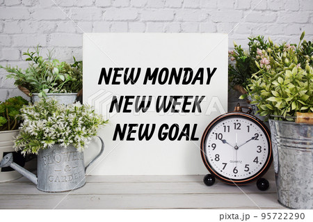 Inspiration quote "New Monday New Week New Goal" text message with artificial plant decoration on wooden background 95722290