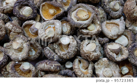 Closeup of a pile of dehydrated shiitake tea flower mushrooms. Closeup of a pile of dehydrated shiitake tea flower mushrooms. 95723365