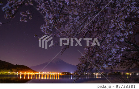 夜桜と富士山 夜桜と富士山 95723381