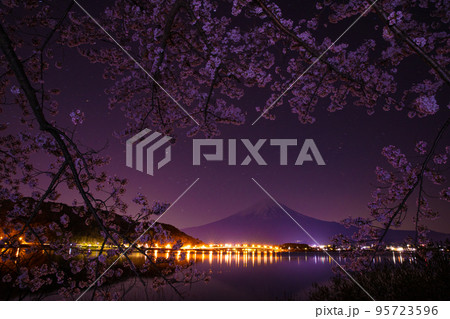 夜桜と富士山 95723596