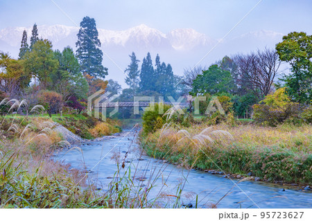 【長野県】朝霧に包まれた大出公園と吊り橋 95723627