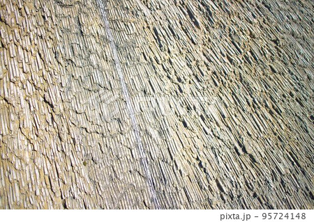 わらの屋根 わらの屋根 95724148