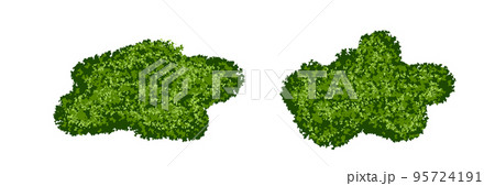 Set of green moss bushes or forest lichen with realistic texture isolated on white background 95724191